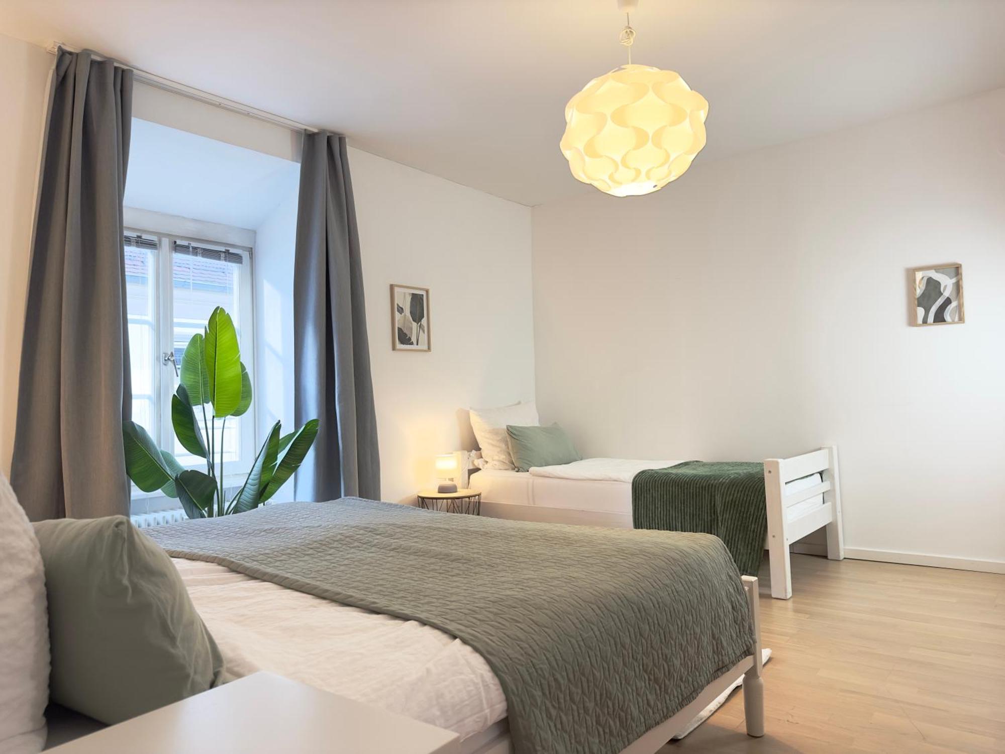 היידלברג Luxury Old Town Suite - Xxl Terrasse & Xxl Penthouse מראה חיצוני תמונה