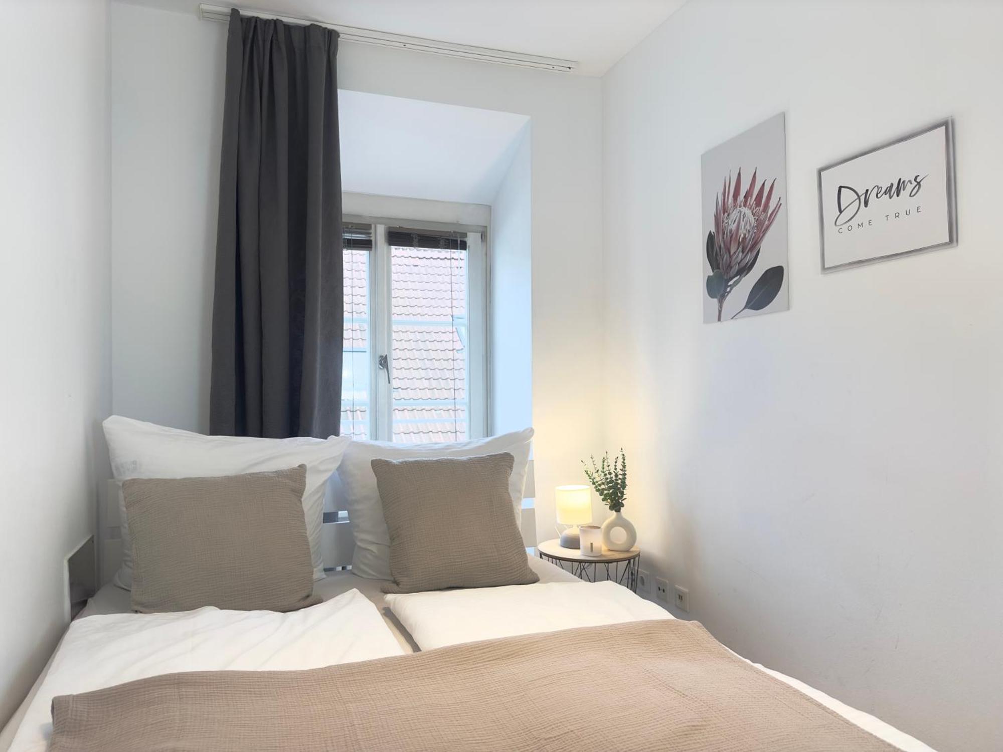היידלברג Luxury Old Town Suite - Xxl Terrasse & Xxl Penthouse מראה חיצוני תמונה